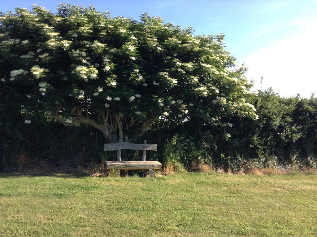 Deeside Manor Bed & Breakfast Stabannan Bagian luar foto